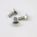 DIN603 Stainless Steel Carriage Bolt With Square Neck